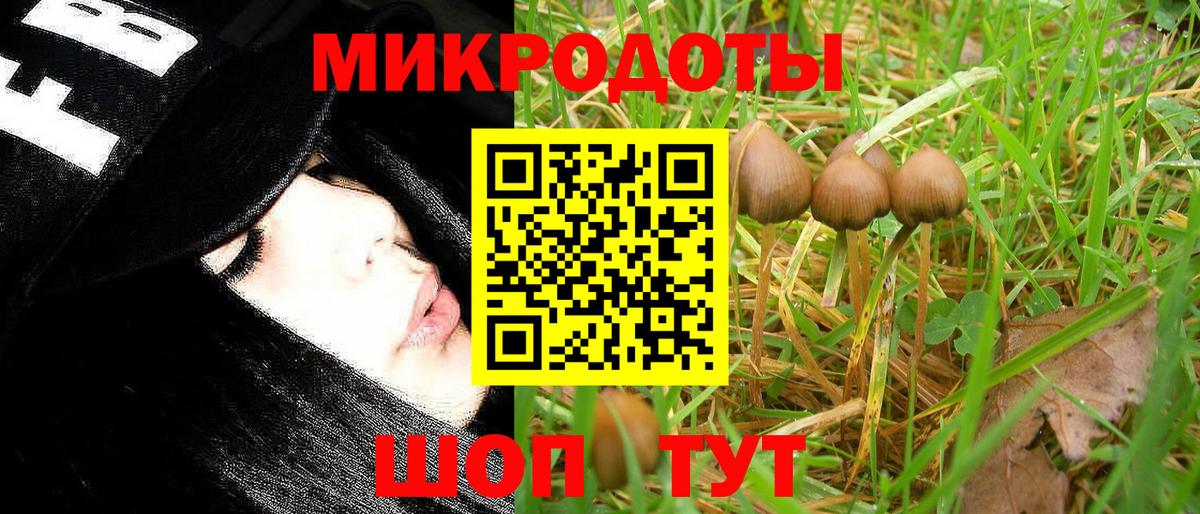 Салават  Псилоцибиновые грибы MAGIC MUSHROOMS  Вход с VPN 