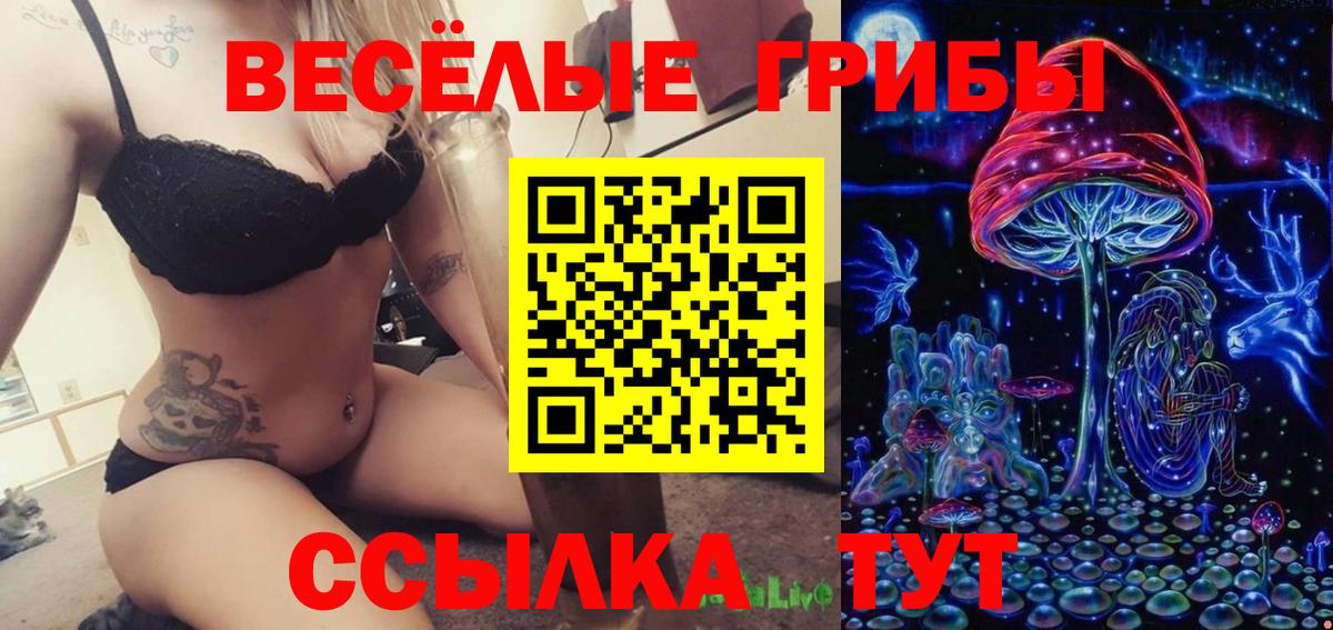Галлюциногенные грибы прущие грибы Салават
